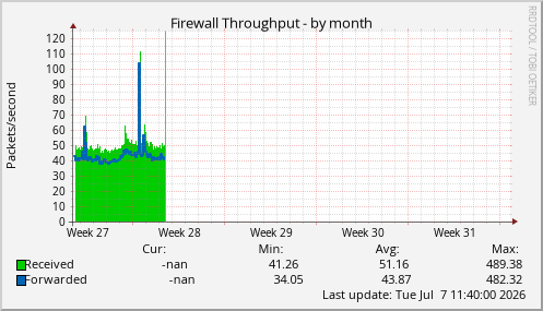 Firewall Throughput