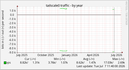 tailscale0 traffic